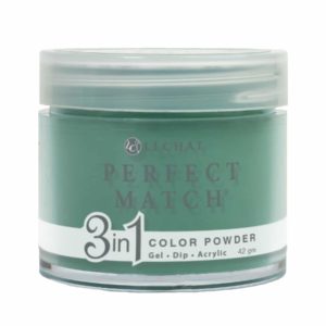 Perfect Match Powder - PMDP106 - Dark Forest