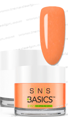 SNS Basic Powder - SNS Basics 1+1 Powder B133
